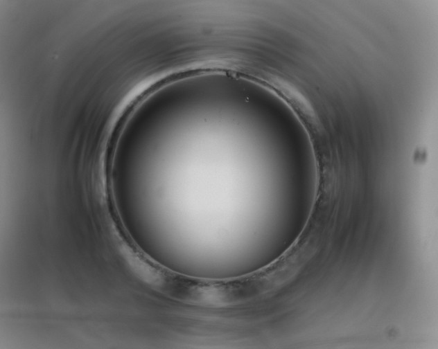 X0000096730792200802051439