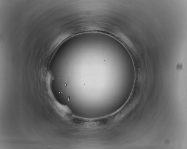 X0000096730793200802051439