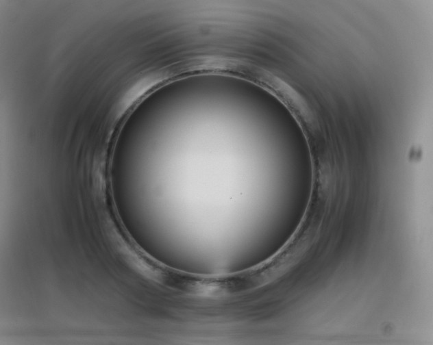 X0000096730794200802051439