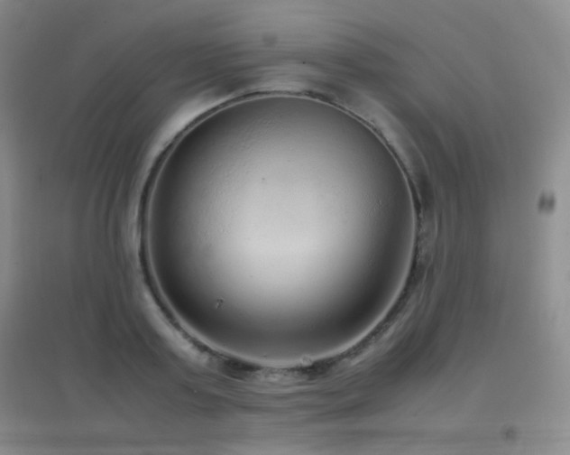 X0000096730795200802051439