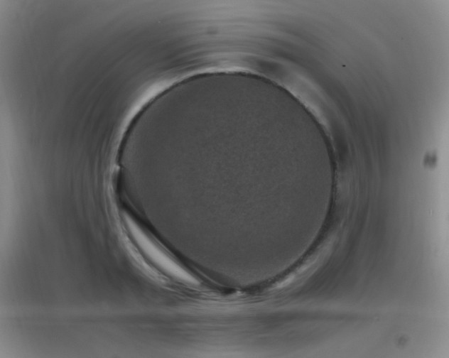 X0000096730797200802051439