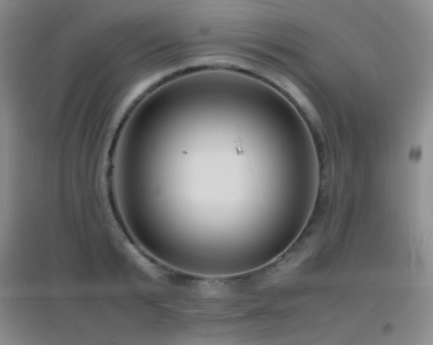 X0000096730799200802051439
