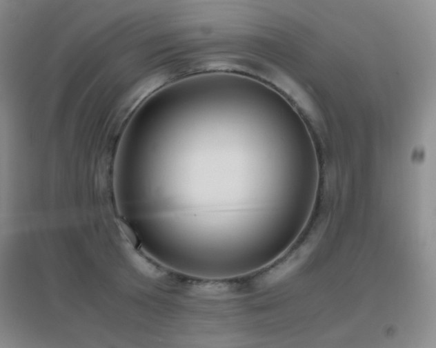 X0000096730801200802051439