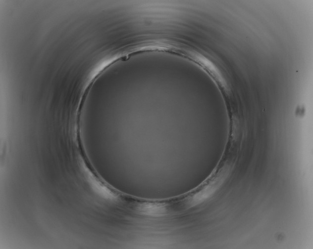 X0000096730802200802051439