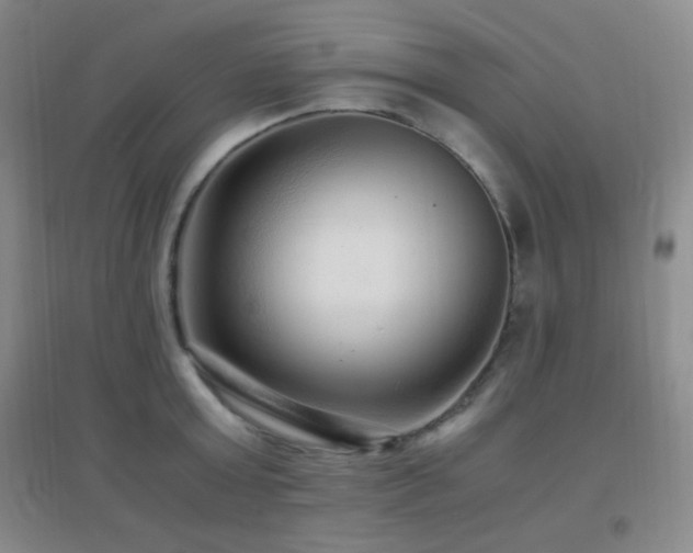 X0000096730803200802051439