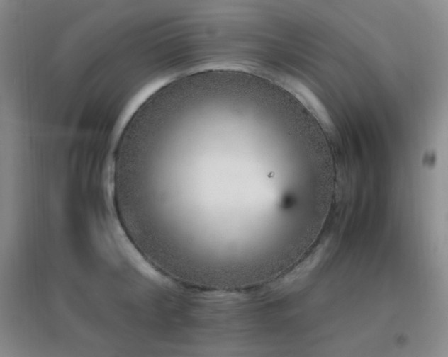 X0000096730804200802051439