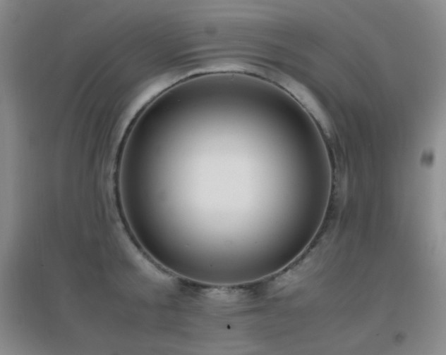 X0000096730805200802051439