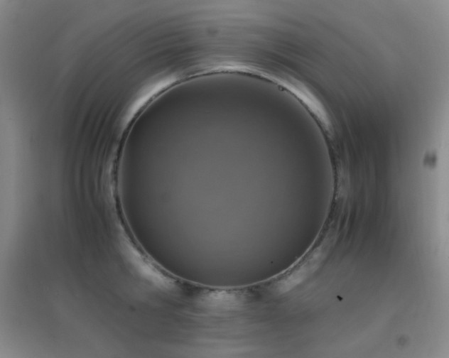 X0000096730806200802051439