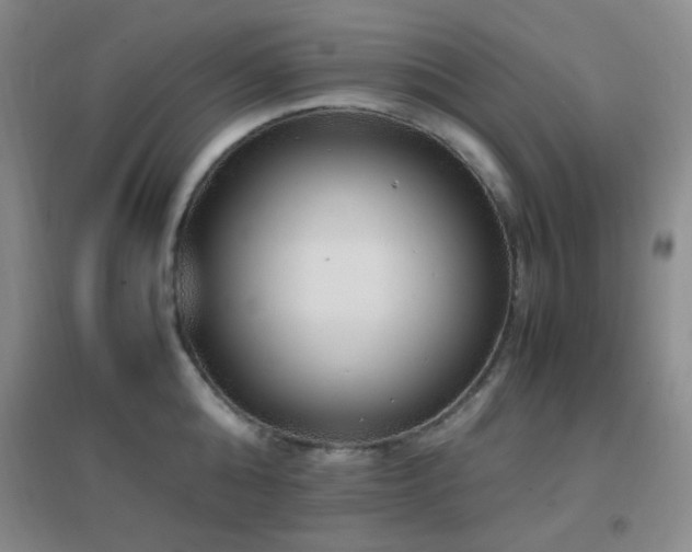 X0000096730808200802051439