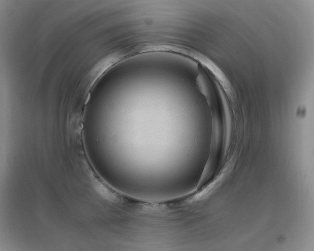X0000096730809200802051439