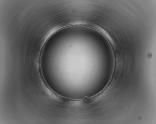 X0000096730810200802051439