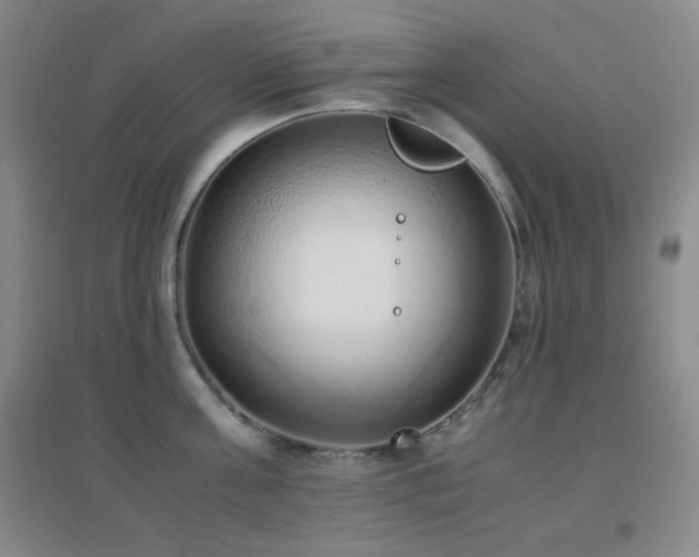 X0000096730811200802051439
