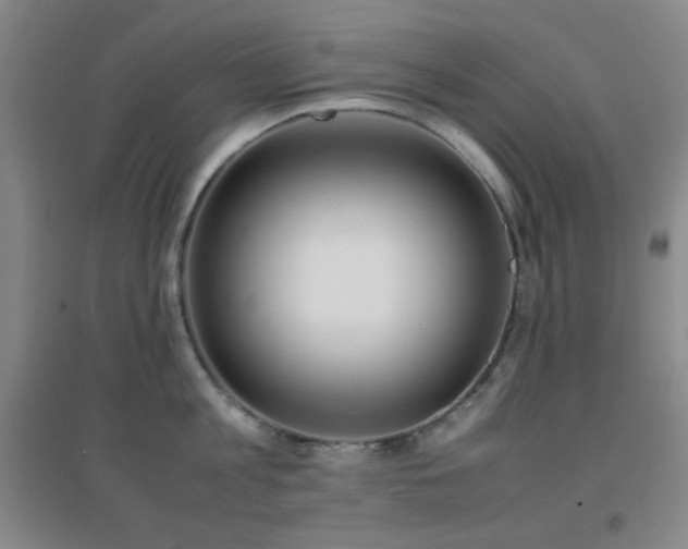 X0000096730813200802051439