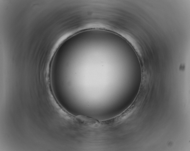 X0000096730815200802051439