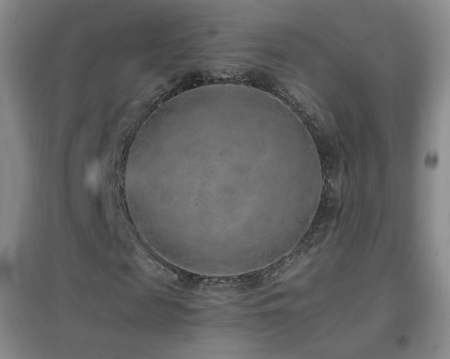 X0000096730817200802051438