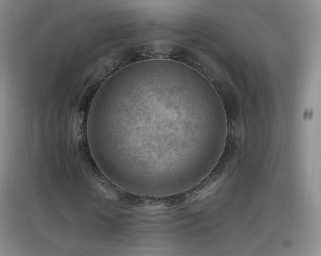 X0000096730818200802051438