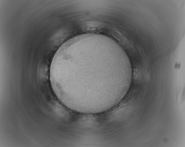 X0000096730820200802051438