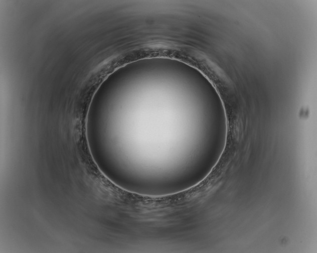 X0000096730821200802051438