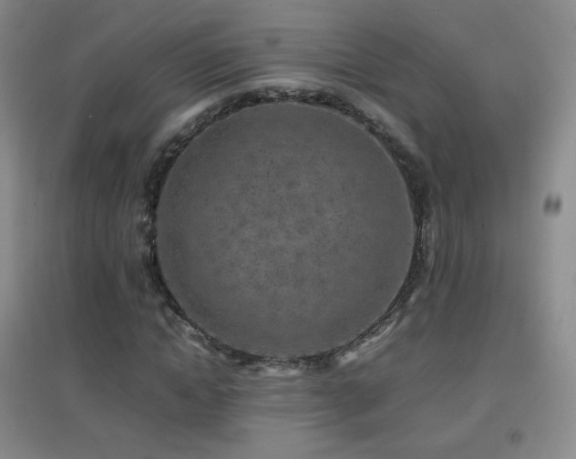 X0000096730822200802051438