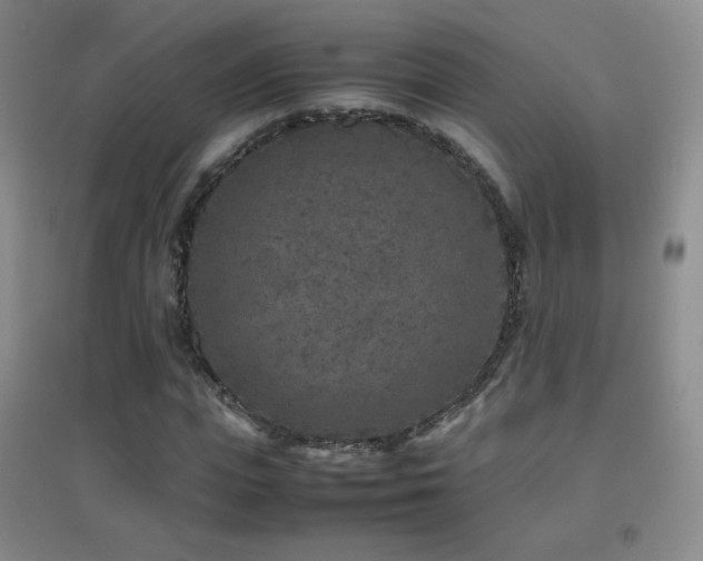 X0000096730823200802051438