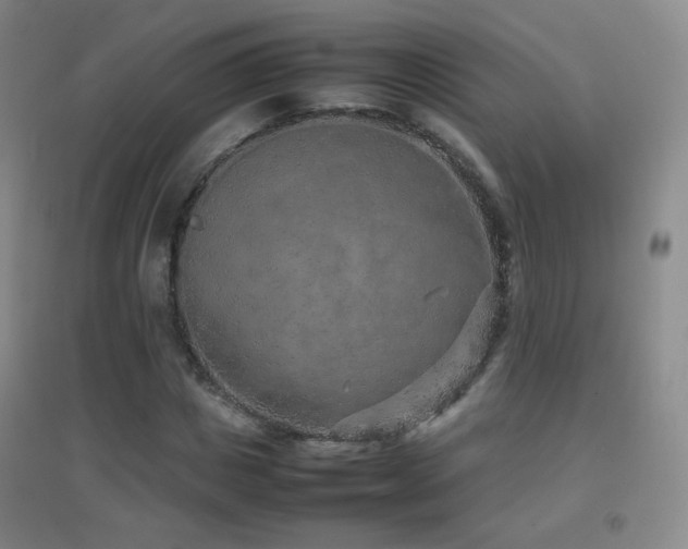 X0000096730825200802051438