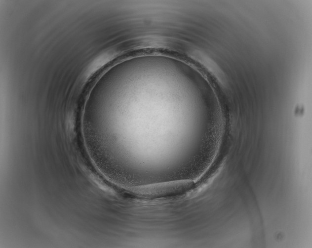 X0000096730826200802051438