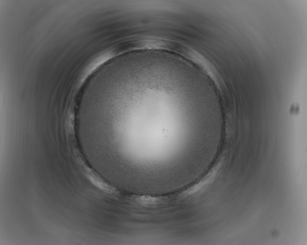 X0000096730827200802051438