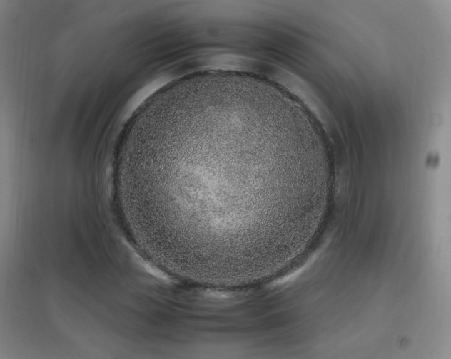 X0000096730829200802051438