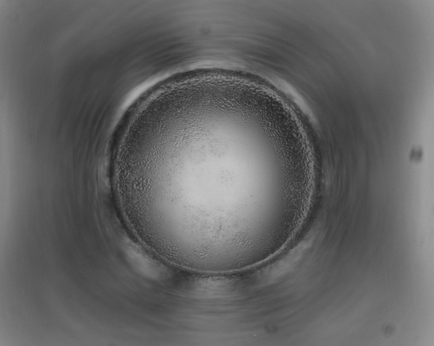 X0000096730830200802051438