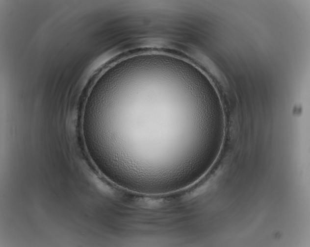X0000096730831200802051438