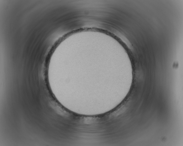 X0000096730832200802051438