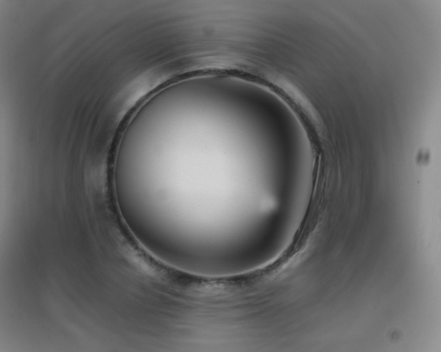 X0000096730834200802051438