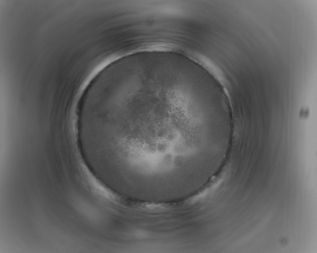 X0000096730835200802051438