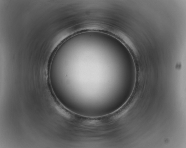 X0000096730837200802051438