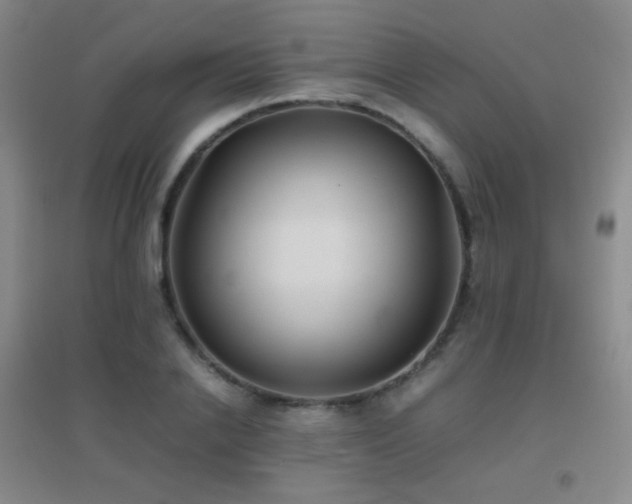 X0000096730838200802051438