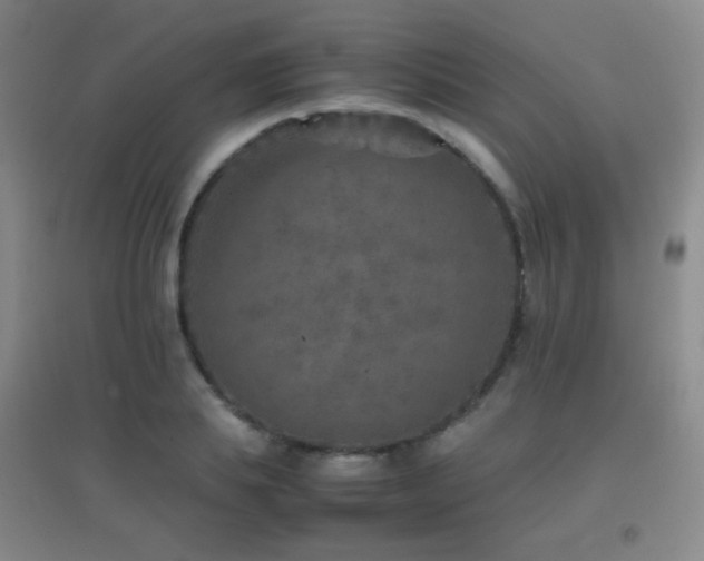 X0000096730839200802051438