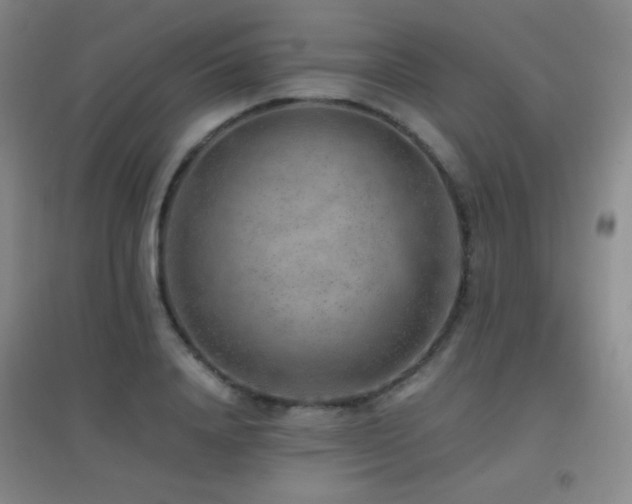 X0000096730840200802051438