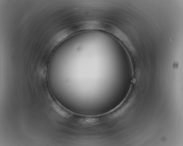 X0000096730841200802051438