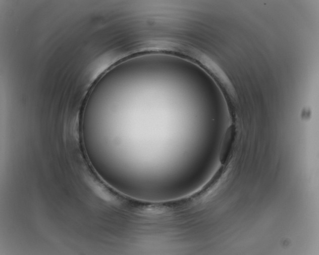 X0000096730842200802051438
