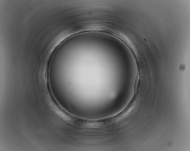 X0000096730843200802051438