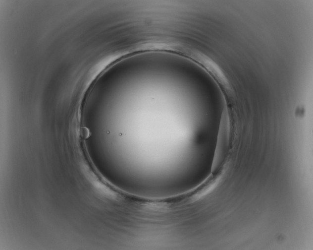 X0000096730844200802051438