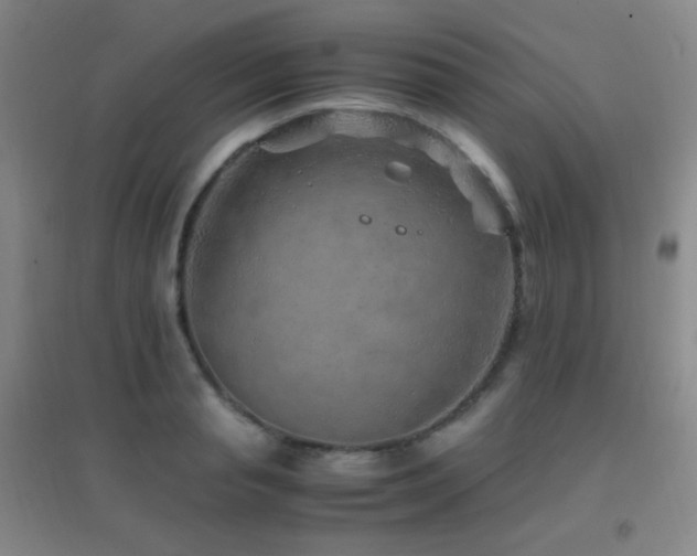 X0000096730845200802051438