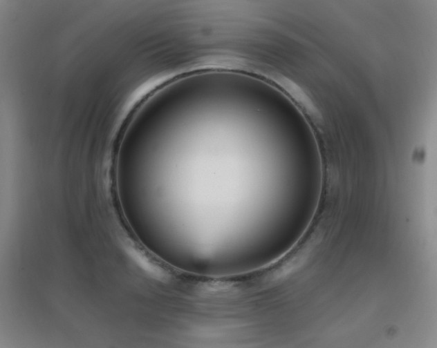 X0000096730846200802051438
