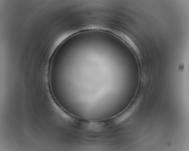 X0000096730847200802051438
