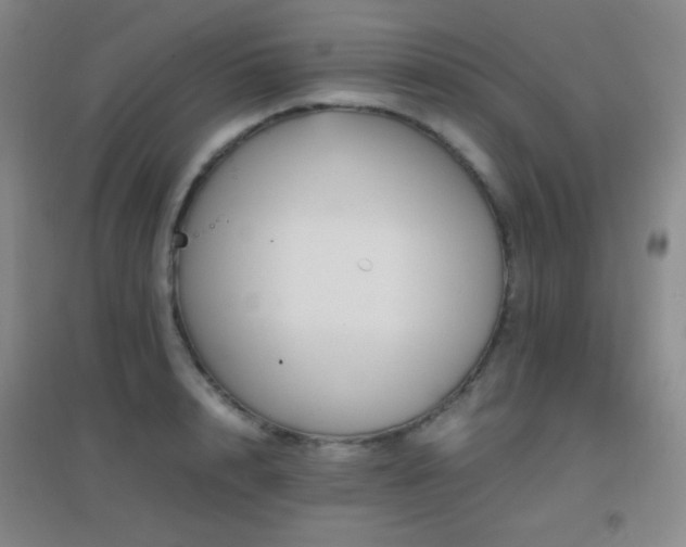 X0000096730848200802051438