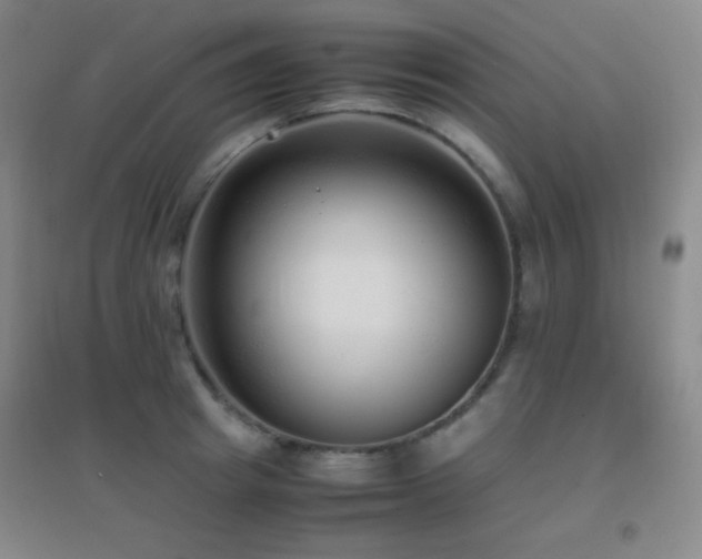 X0000096730849200802051438