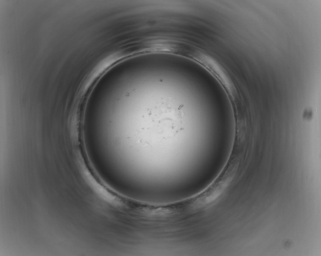 X0000096730851200802051438