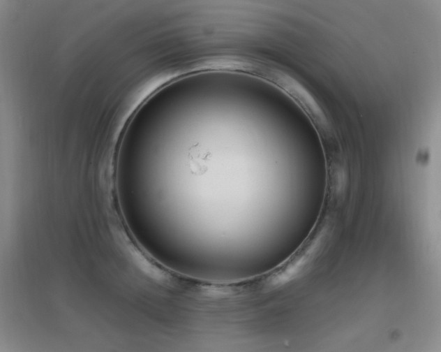 X0000096730852200802051438