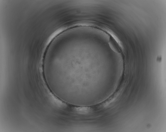 X0000096730853200802051438