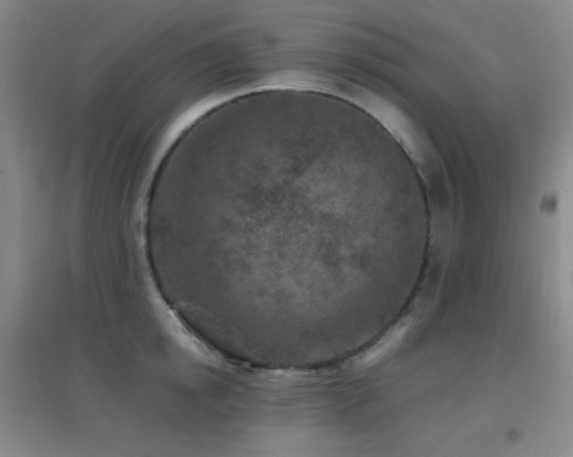 X0000096730854200802051438